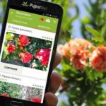 App para Identificar Plantas