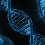 Suas Origens: O Poder do 23andMe – Teste de DNA Facial