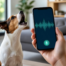 App que Traduz Latido de Cachorro: Guia Prático